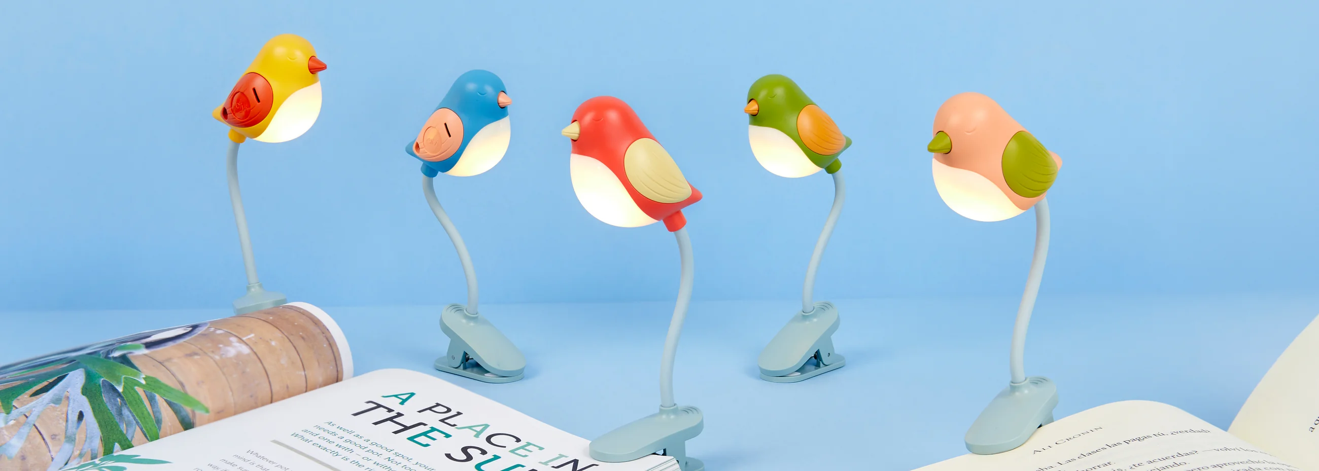Everyday Objects That Spark Joy